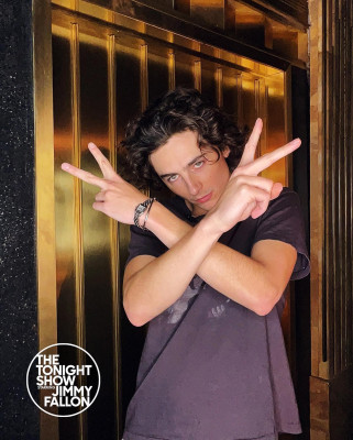 Timothee Chalamet pic #1344309