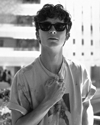 Timothee Chalamet pic #1319252