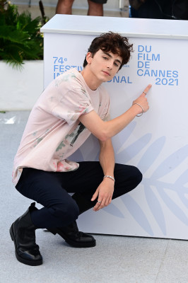 Timothee Chalamet pic #1304488