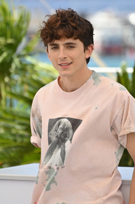 Timothee Chalamet pic #1358795