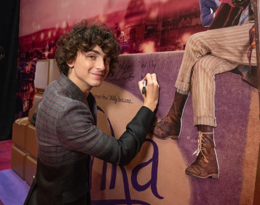 Timothee Chalamet pic #1352773