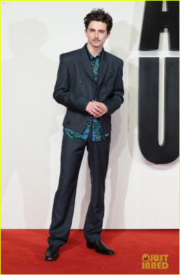 Timothee Chalamet pic #1371479