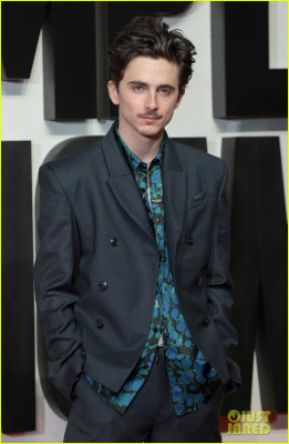 Timothee Chalamet pic #1371659