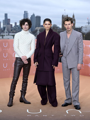 Timothee Chalamet pic #1346089