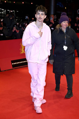 Timothee Chalamet pic #1371350