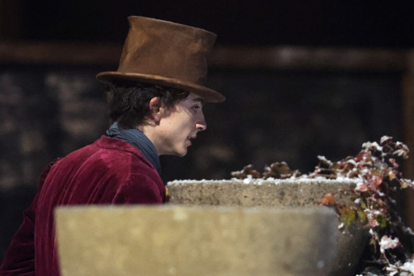 Timothee Chalamet pic #1275289