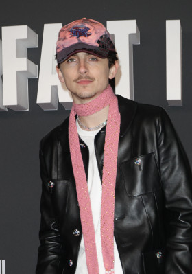 Timothee Chalamet pic #1375410