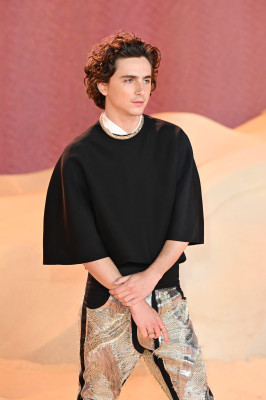 Timothee Chalamet pic #1348309