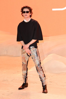 Timothee Chalamet pic #1346348