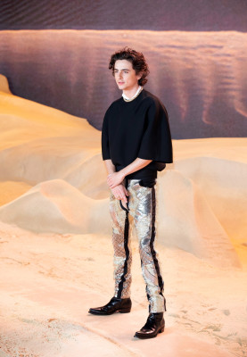 Timothee Chalamet pic #1355032