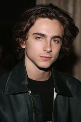 Timothee Chalamet pic #1323177