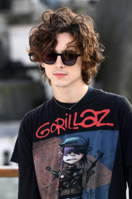 Timothee Chalamet pic #1332880