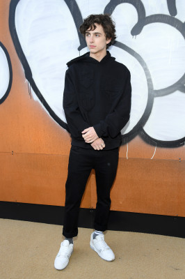 Timothee Chalamet pic #1283119