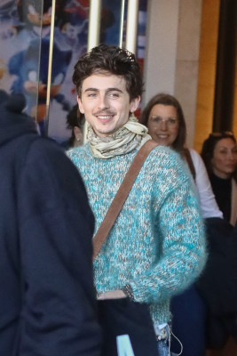 Timothee Chalamet pic #1371827
