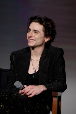 Timothee Chalamet pic #1275959
