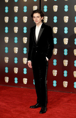 Timothee Chalamet pic #1362494