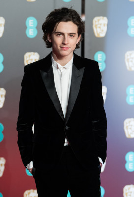 Timothee Chalamet pic #1362495