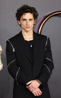 Timothee Chalamet pic #1276305