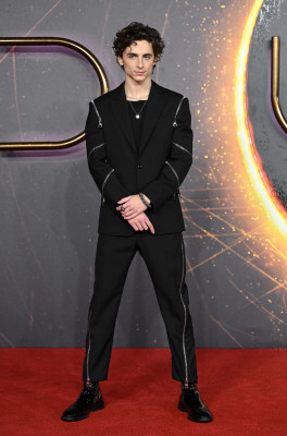 Timothee Chalamet pic #1276292