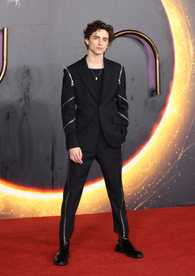 Timothee Chalamet pic #1276293