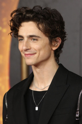 Timothee Chalamet pic #1276304