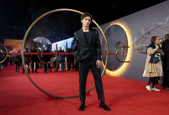Timothee Chalamet pic #1276297