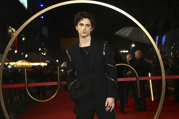 Timothee Chalamet pic #1276447