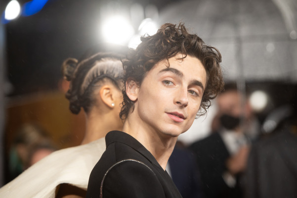 Timothee Chalamet pic #1276436