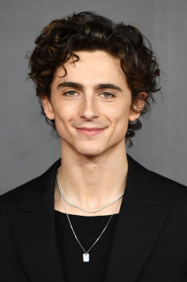 Timothee Chalamet pic #1276290