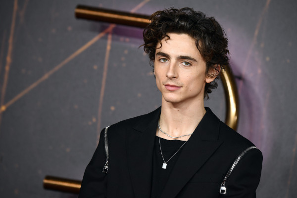 Timothee Chalamet pic #1276446