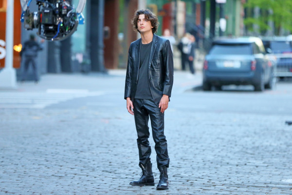 Timothee Chalamet pic #1332760