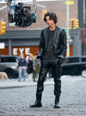 Timothee Chalamet pic #1327373