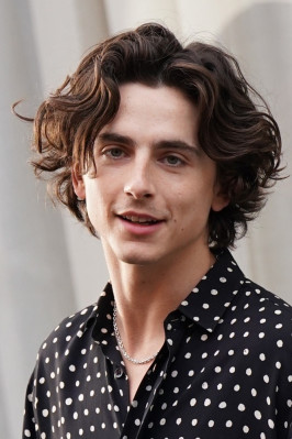 Timothee Chalamet pic #1353996