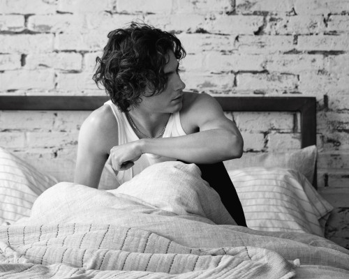 Timothee Chalamet pic #1352988