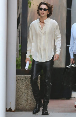 Timothee Chalamet pic #1342301