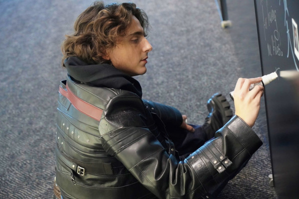 Timothee Chalamet pic #1339308