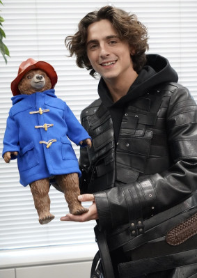 Timothee Chalamet pic #1344159