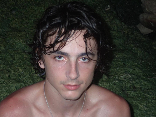 Timothee Chalamet pic #1335218