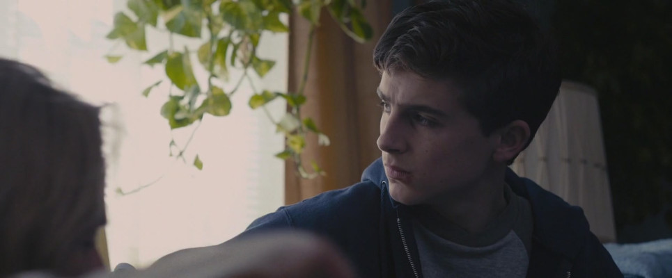 Timothée Chalamet - The Adderall Diaries (2015)