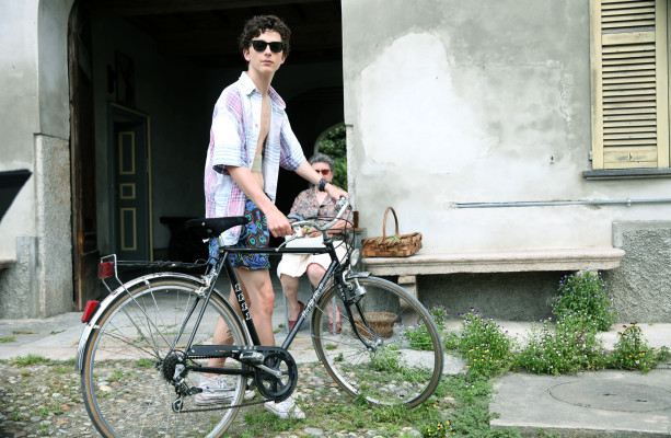Timothee Chalamet pic #1304458