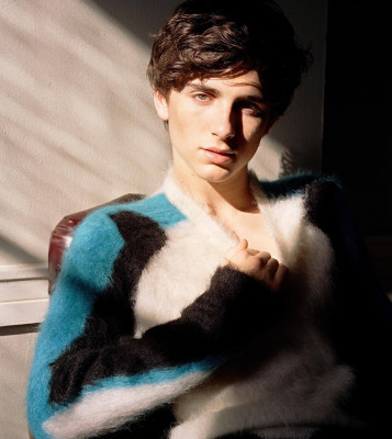 Timothee Chalamet pic #1323369