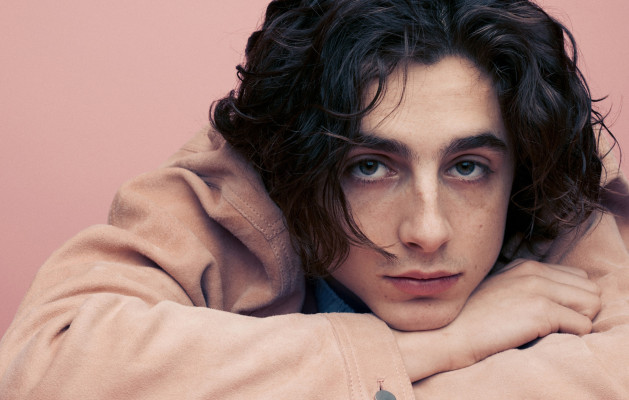 Timothee Chalamet pic #1325944
