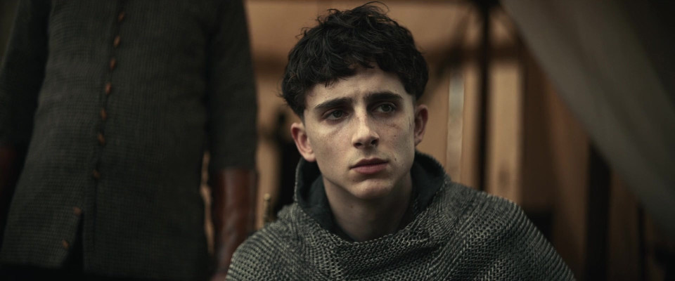 Timothee Chalamet pic #1309026