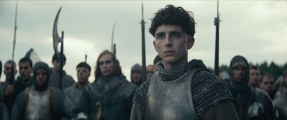 Timothee Chalamet pic #1309025