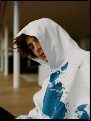 Timothee Chalamet pic #1290548