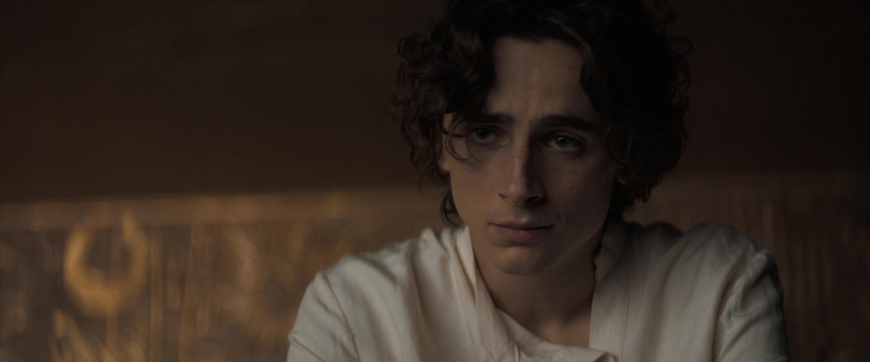 Timothee Chalamet pic #1320891