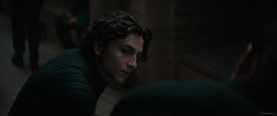 Timothee Chalamet pic #1320890