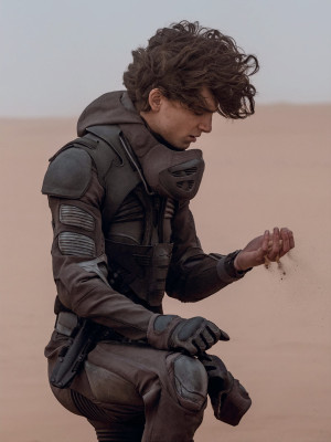 Timothee Chalamet pic #1343749