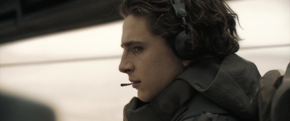 Timothee Chalamet pic #1362630