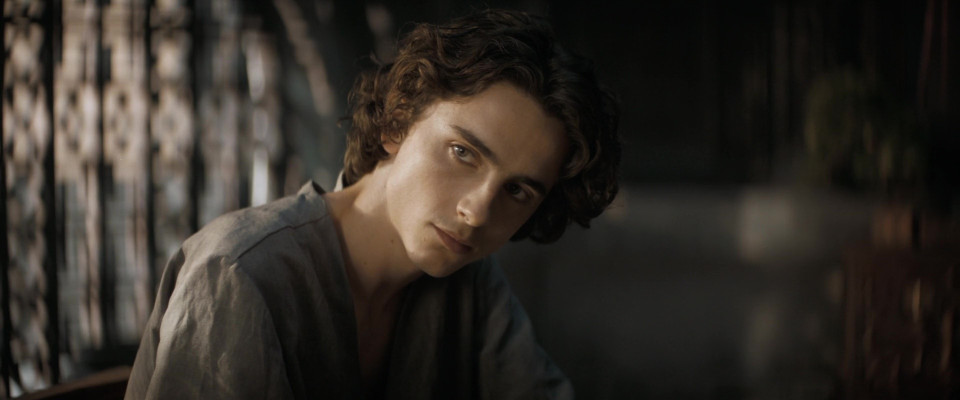 Timothee Chalamet pic #1309500